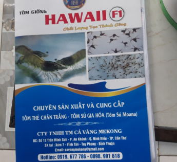 THIẾT KẾ - IN ẤN BÌA - CATALOGE TẠI BA TRI